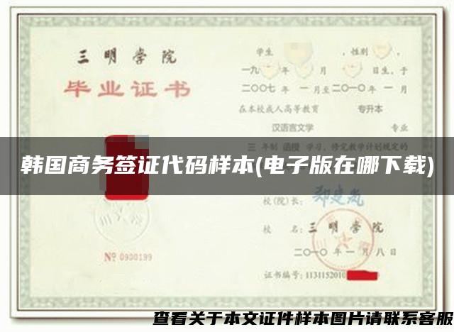 韩国商务签证代码样本(电子版在哪下载)