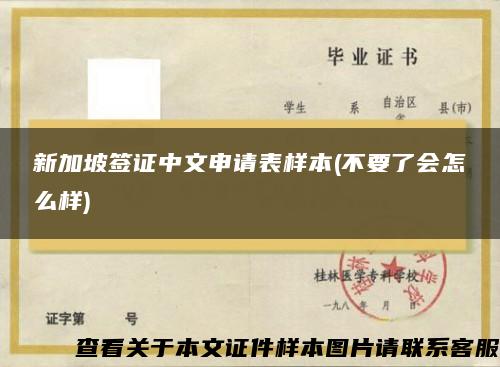 新加坡签证中文申请表样本(不要了会怎么样)