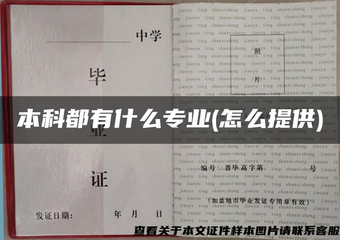 本科都有什么专业(怎么提供)