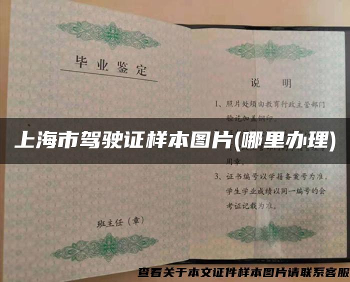 上海市驾驶证样本图片(哪里办理)