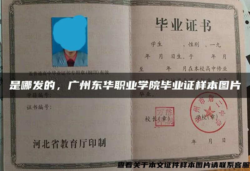 是哪发的，广州东华职业学院毕业证样本图片