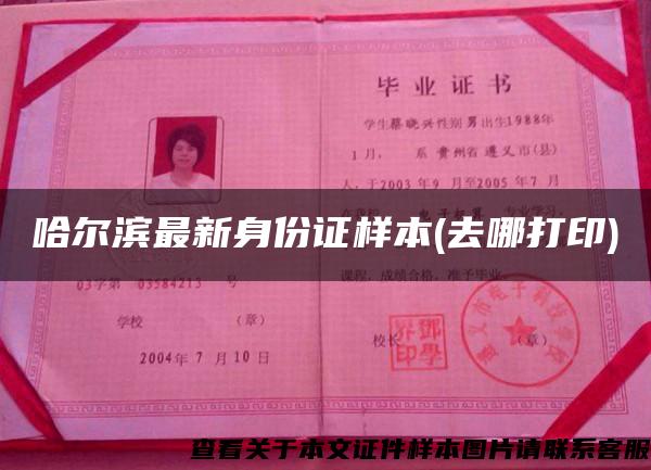 哈尔滨最新身份证样本(去哪打印)
