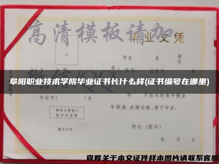 阜阳职业技术学院毕业证书长什么样(证书编号在哪里)