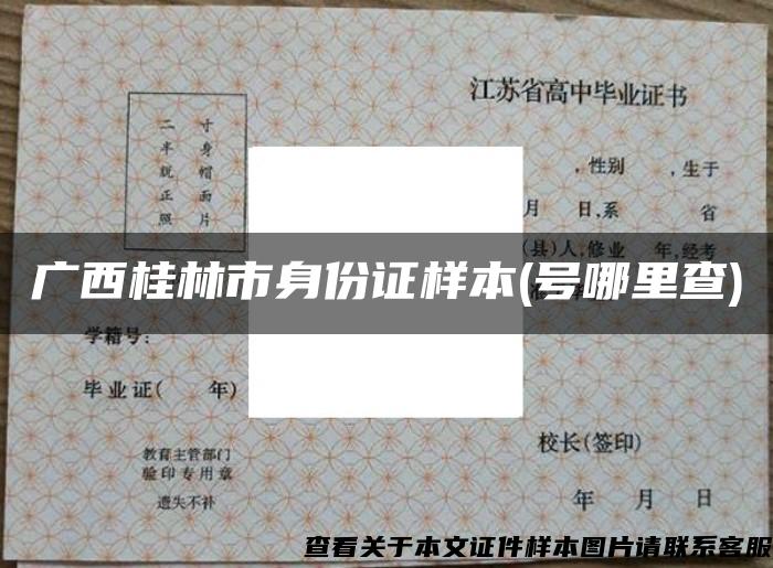 广西桂林市身份证样本(号哪里查)