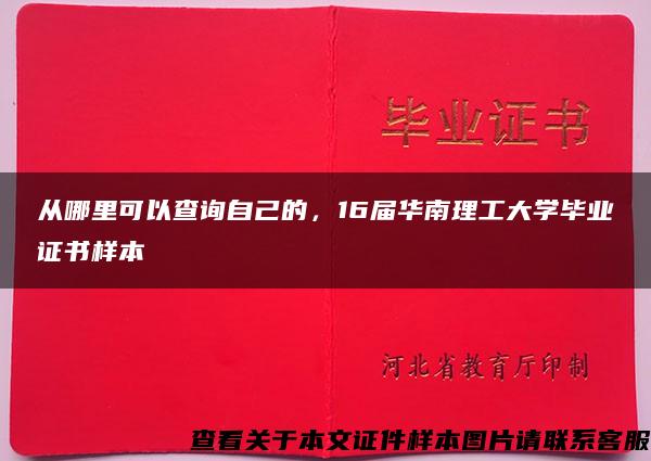 从哪里可以查询自己的，16届华南理工大学毕业证书样本