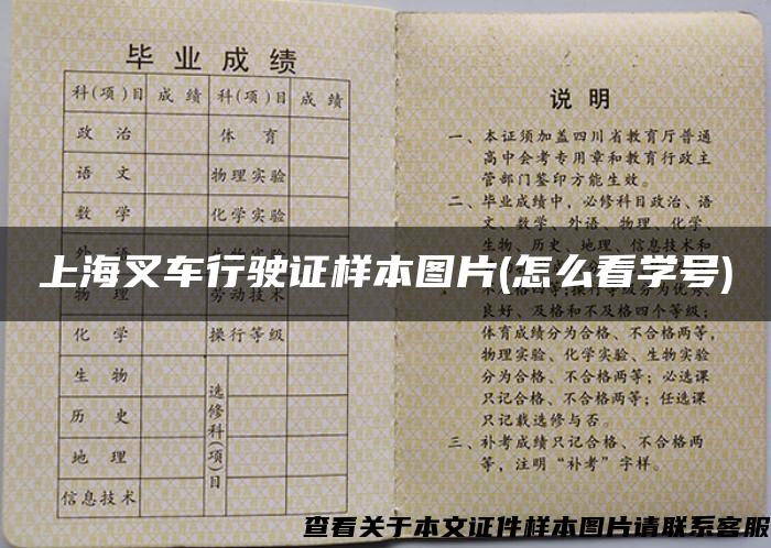 上海叉车行驶证样本图片(怎么看学号)