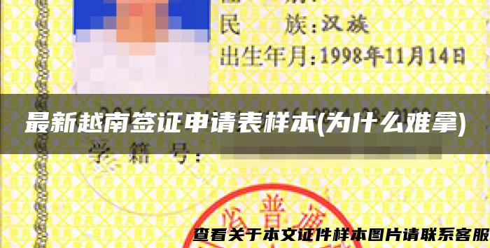 最新越南签证申请表样本(为什么难拿)