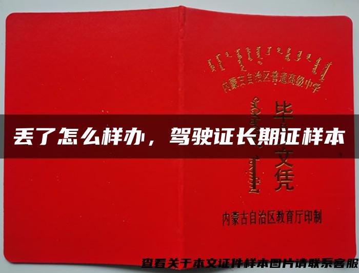 丢了怎么样办，驾驶证长期证样本