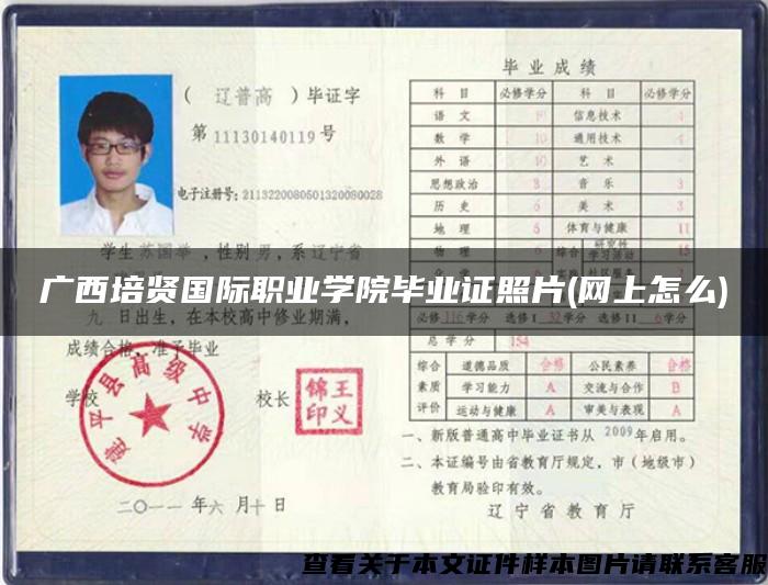 广西培贤国际职业学院毕业证照片(网上怎么)