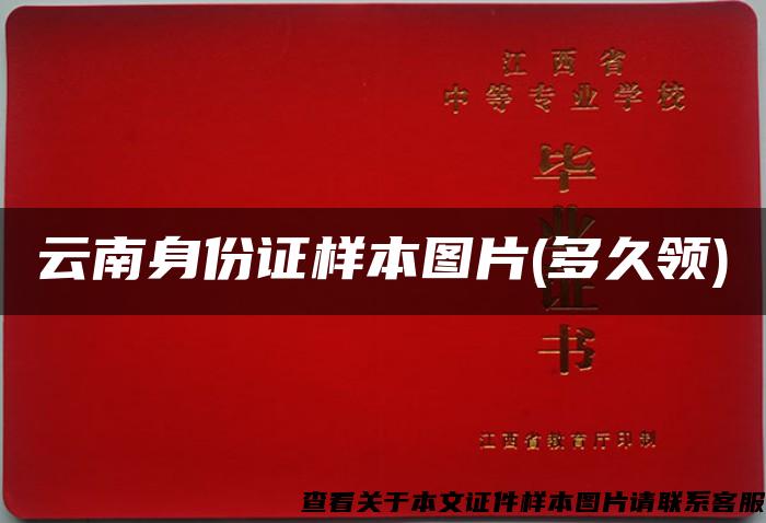 云南身份证样本图片(多久领)
