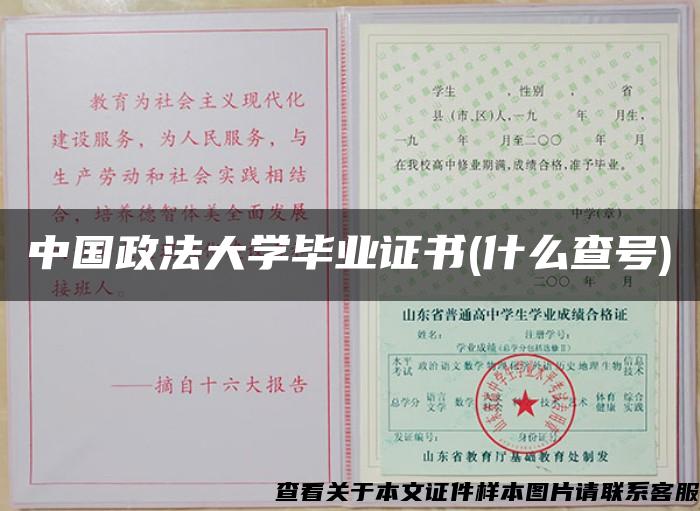 中国政法大学毕业证书(什么查号)