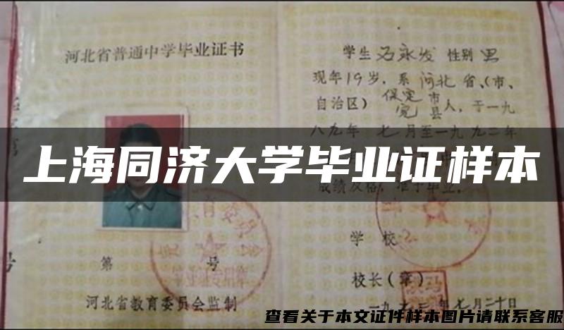 上海同济大学毕业证样本