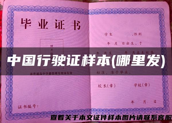 中国行驶证样本(哪里发)