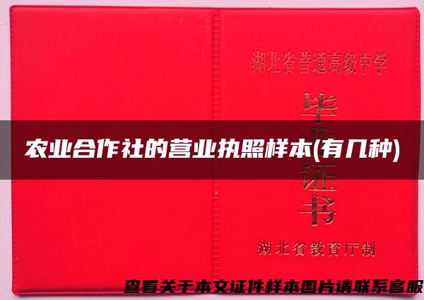农业合作社的营业执照样本(有几种)