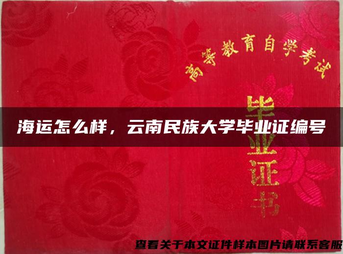 海运怎么样，云南民族大学毕业证编号