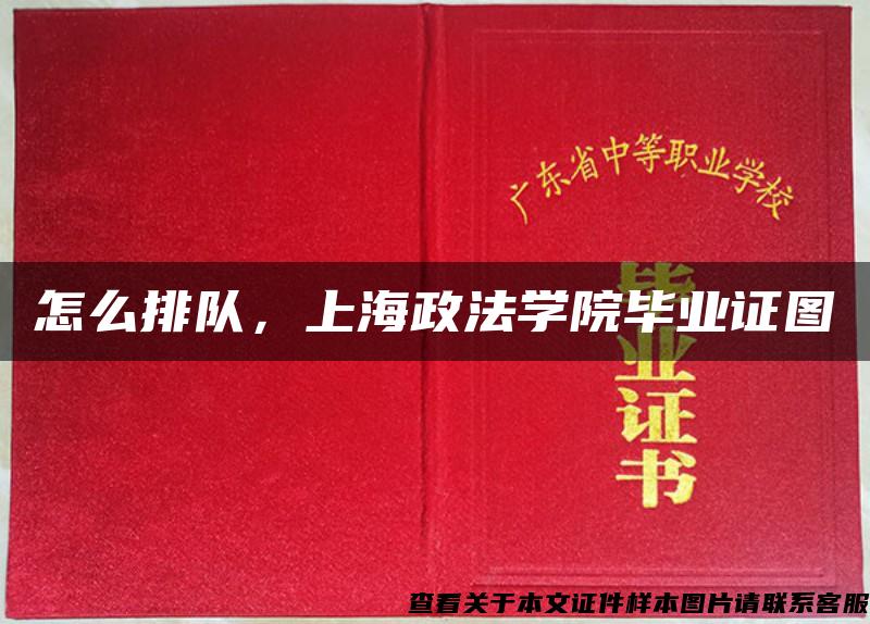 怎么排队，上海政法学院毕业证图