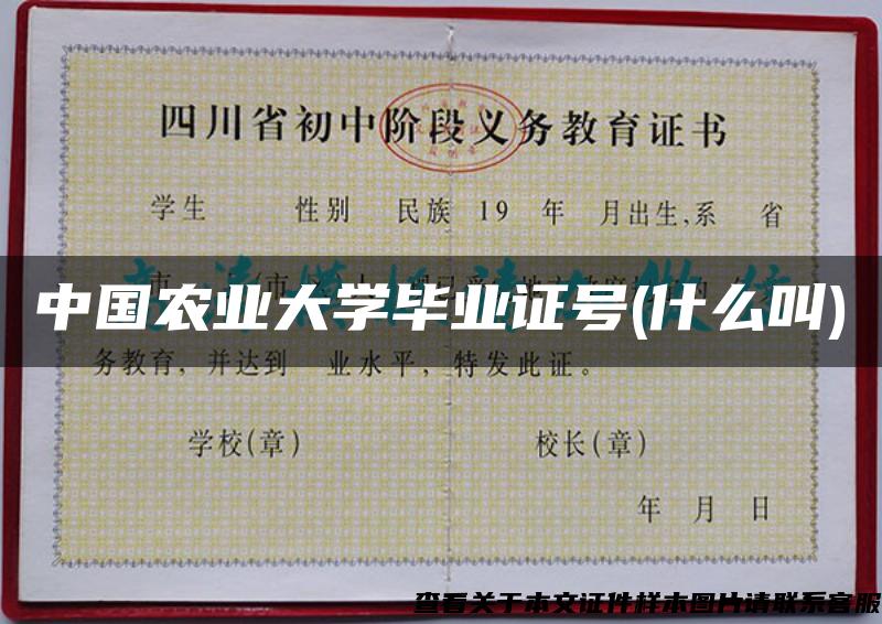 中国农业大学毕业证号(什么叫)