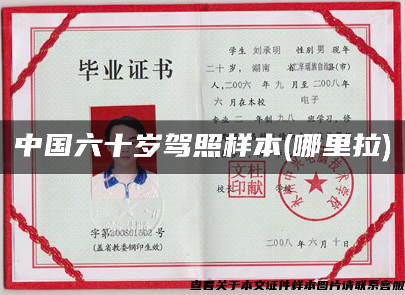 中国六十岁驾照样本(哪里拉)