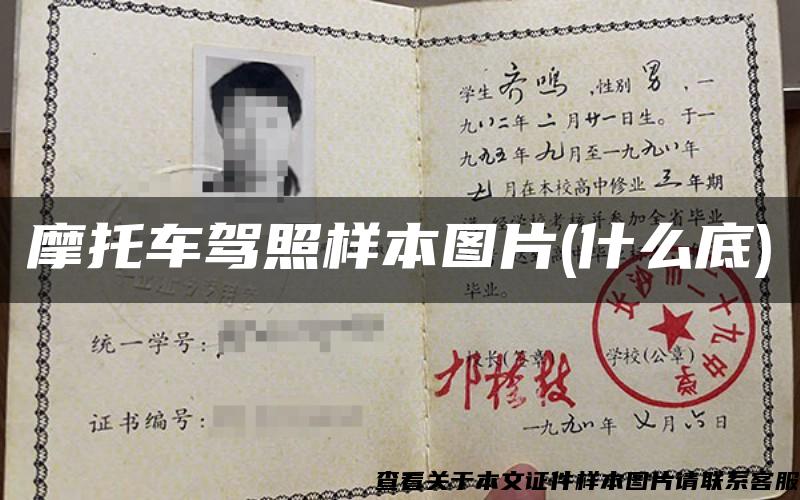 摩托车驾照样本图片(什么底)