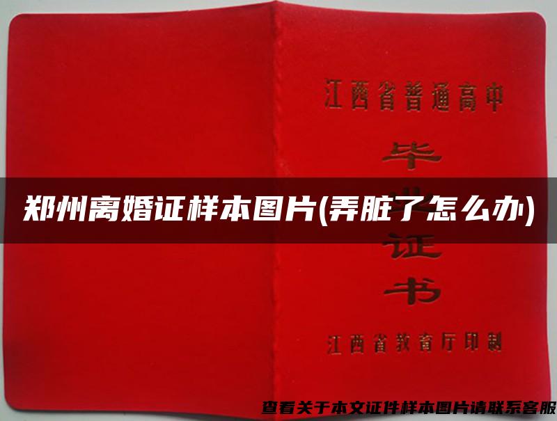 郑州离婚证样本图片(弄脏了怎么办)
