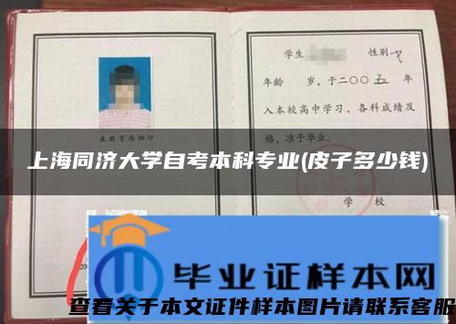 上海同济大学自考本科专业(皮子多少钱) 上海同济大学自考本科专业(皮子多少钱)