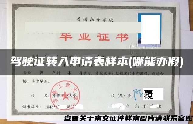 驾驶证转入申请表样本(哪能办假)