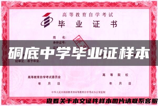 硐底中学毕业证样本