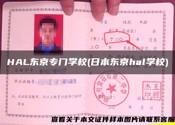 HAL东京专门学校(日本东京hal学校)