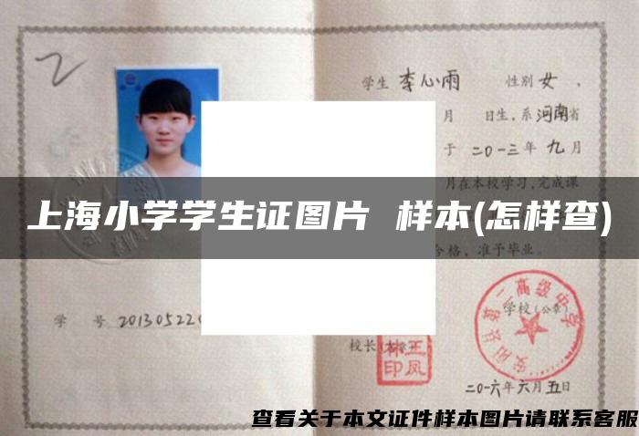 上海小学学生证图片 样本(怎样查)