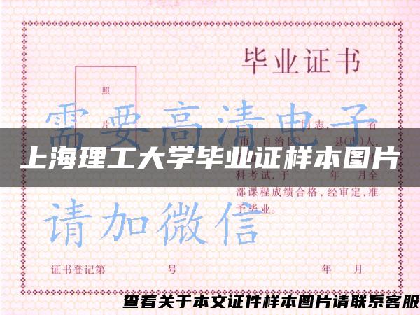 上海理工大学毕业证样本图片