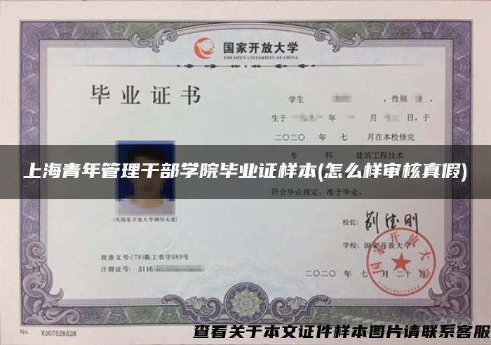 上海青年管理干部学院毕业证样本(怎么样审核真假)