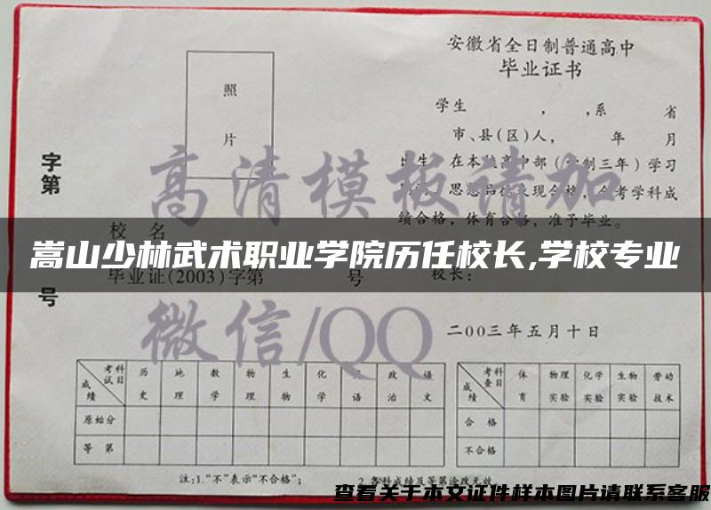 嵩山少林武术职业学院历任校长,学校专业