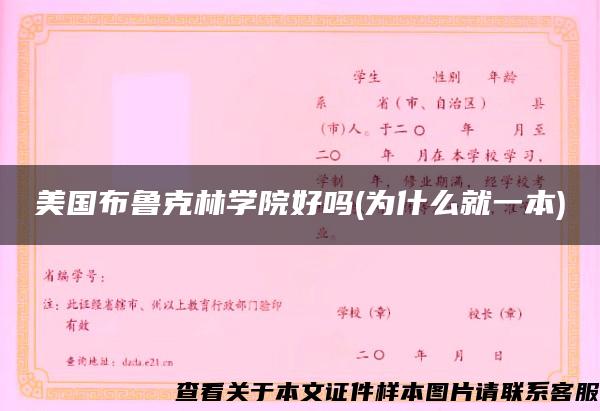 美国布鲁克林学院好吗(为什么就一本)