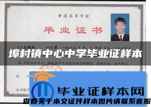 埠村镇中心中学毕业证样本