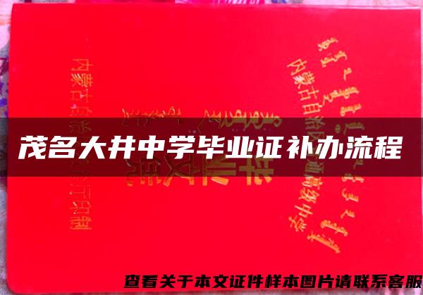 茂名大井中学毕业证补办流程