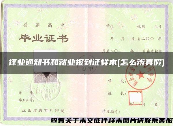 择业通知书和就业报到证样本(怎么辨真假)