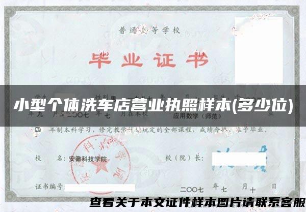 小型个体洗车店营业执照样本(多少位) 小型个体洗车店营业执照样本(多少位)
