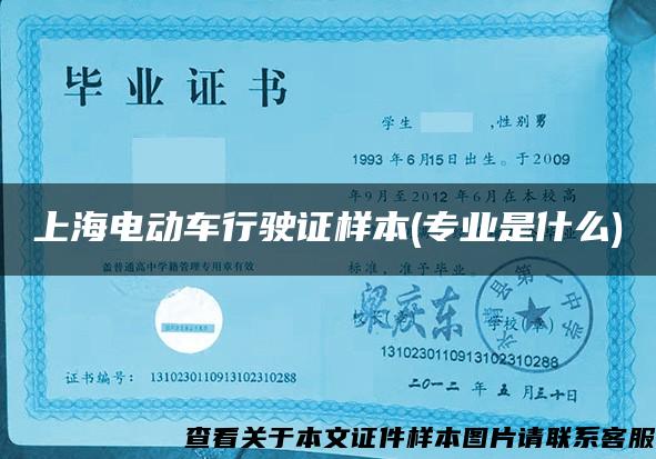 上海电动车行驶证样本(专业是什么)