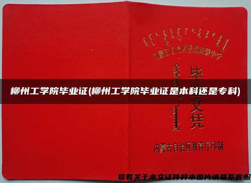 柳州工学院毕业证(柳州工学院毕业证是本科还是专科)