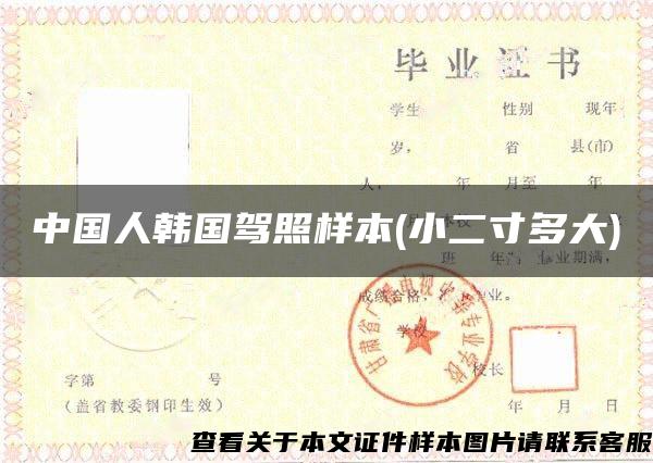 中国人韩国驾照样本(小二寸多大)