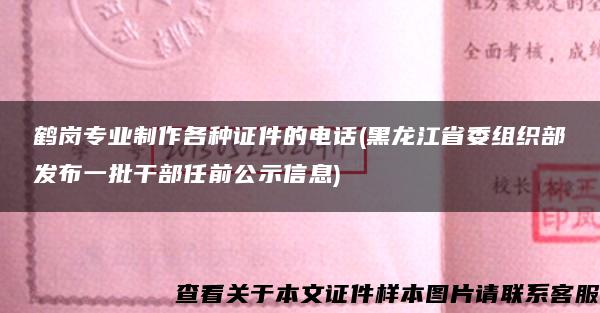 鹤岗专业制作各种证件的电话(黑龙江省委组织部发布一批干部任前公示信息)