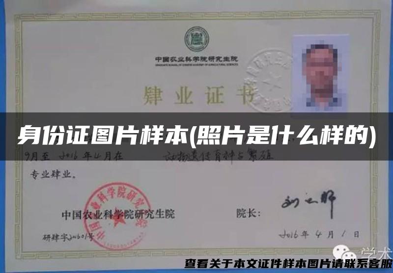 身份证图片样本(照片是什么样的) 身份证图片样本(照片是什么样的)