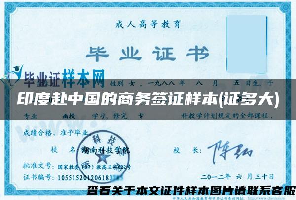印度赴中国的商务签证样本(证多大)