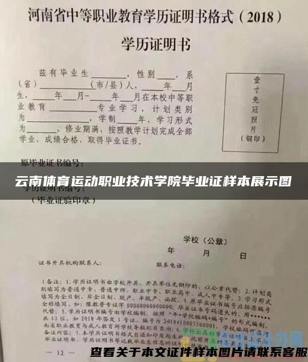 云南体育运动职业技术学院毕业证样本展示图