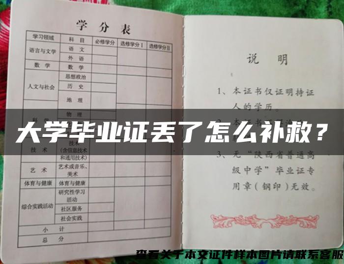 大学毕业证丢了怎么补救？