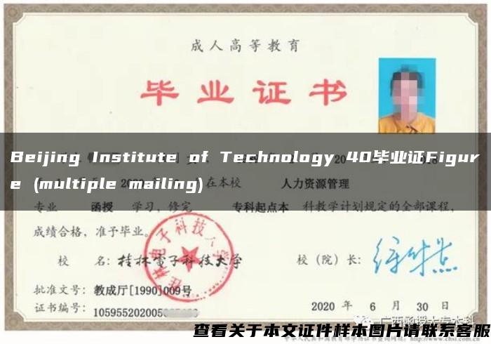 Beijing Institute of Technology 40毕业证Figure (multiple mailing)