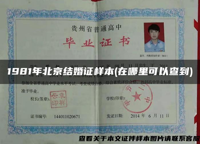 1981年北京结婚证样本(在哪里可以查到)