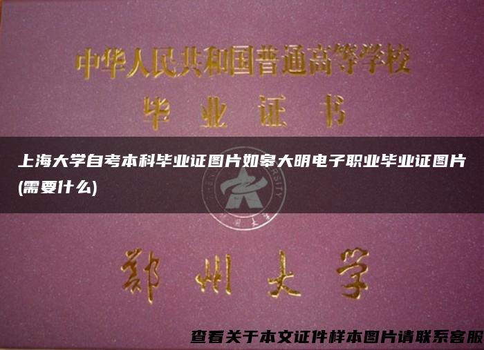 上海大学自考本科毕业证图片如皋大明电子职业毕业证图片(需要什么)