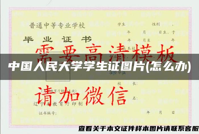 中国人民大学学生证图片(怎么办)