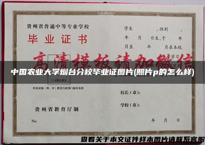 中国农业大学烟台分校毕业证图片(照片p的怎么样)